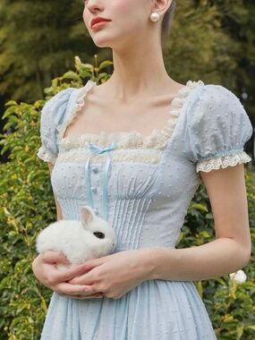 Lacemade Cinderella Dress